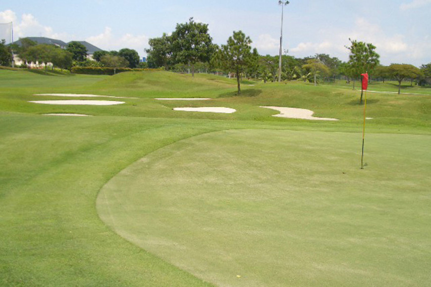 Laguna-collars1-010305