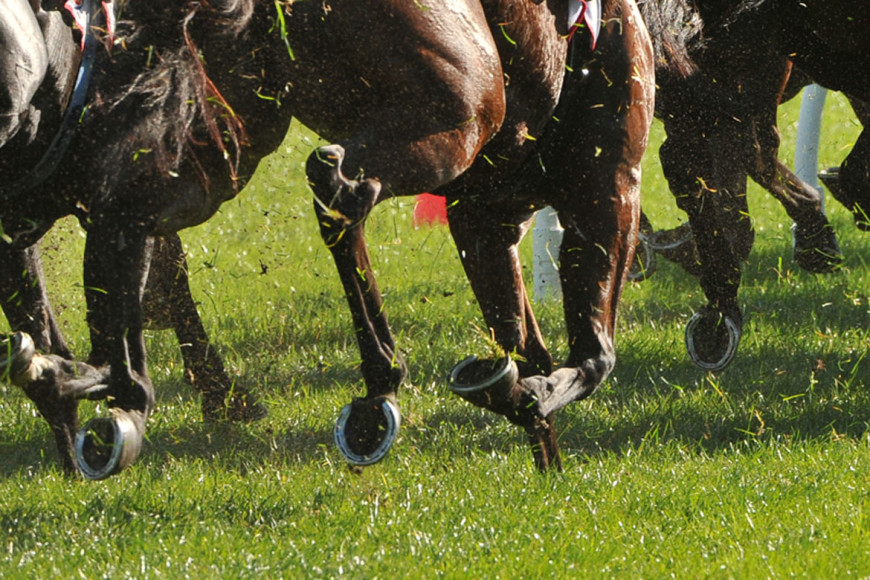 horse-racing-(turf-Abu-Dhabi)